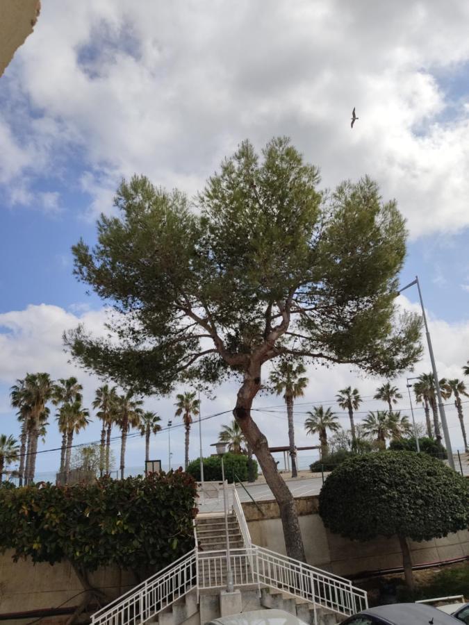 Apartamento Mare Nostrum Playa Arrabassada Tarragona Exteriér fotografie